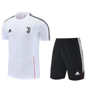 2024–2025 Juventus conjunto de treinamento