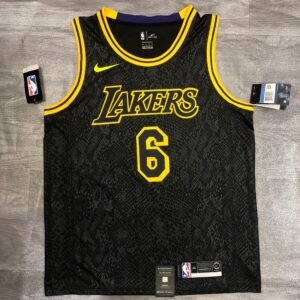 2023-2024 Los Angeles Lakers Camiseta LeBron James nº 6